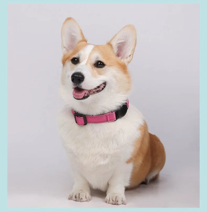 Dog Collar with Airtag Holder Ultra-Durable Comfortable Padded Heavy Duty Dog Collars for Small Medium Large Dogs Trax4u