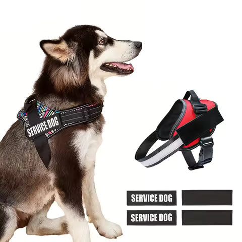 Personalized No-Pull Dog Harness Trax4u