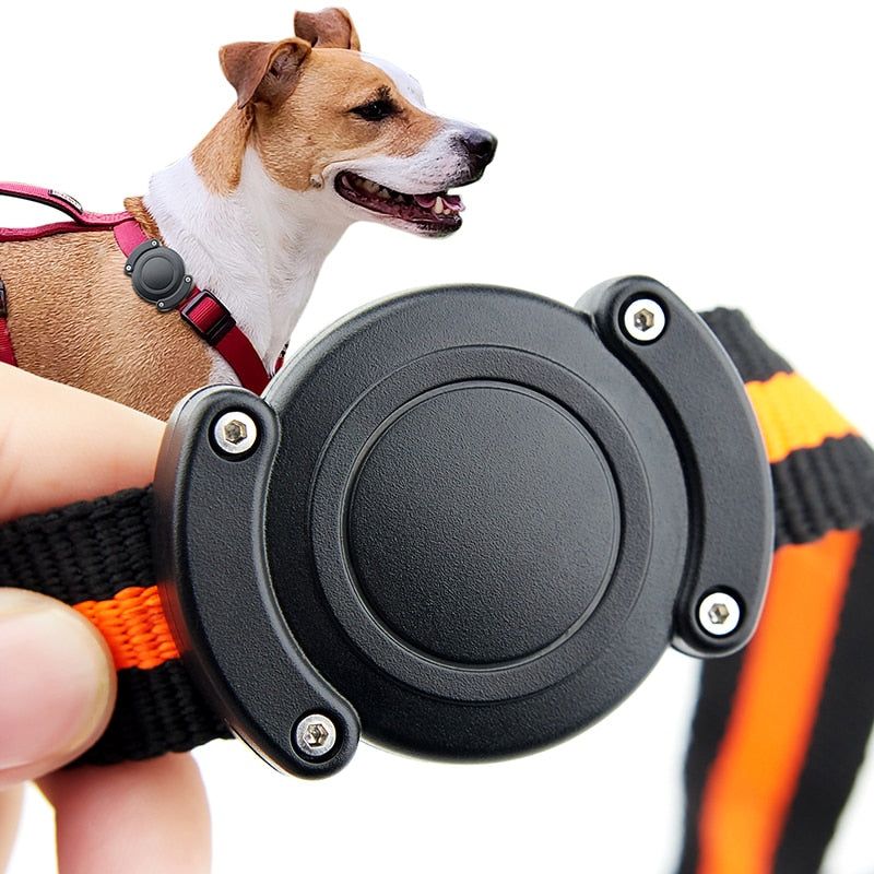 Dog wearing waterproof AirTag collar attachment for tracking
