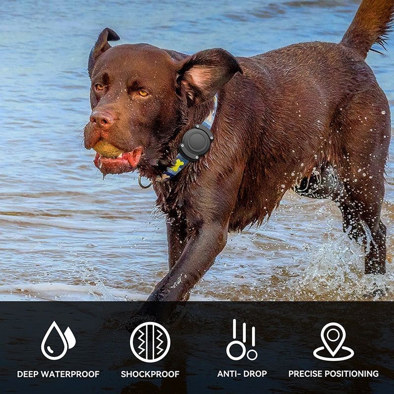 Waterproof AirTag dog collar holder suitable for outdoor adventures